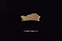 陶罐藏品圖，第2張